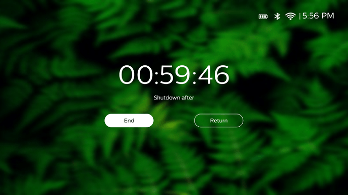 3Shutdownafter
