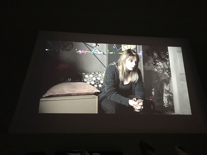 Bild